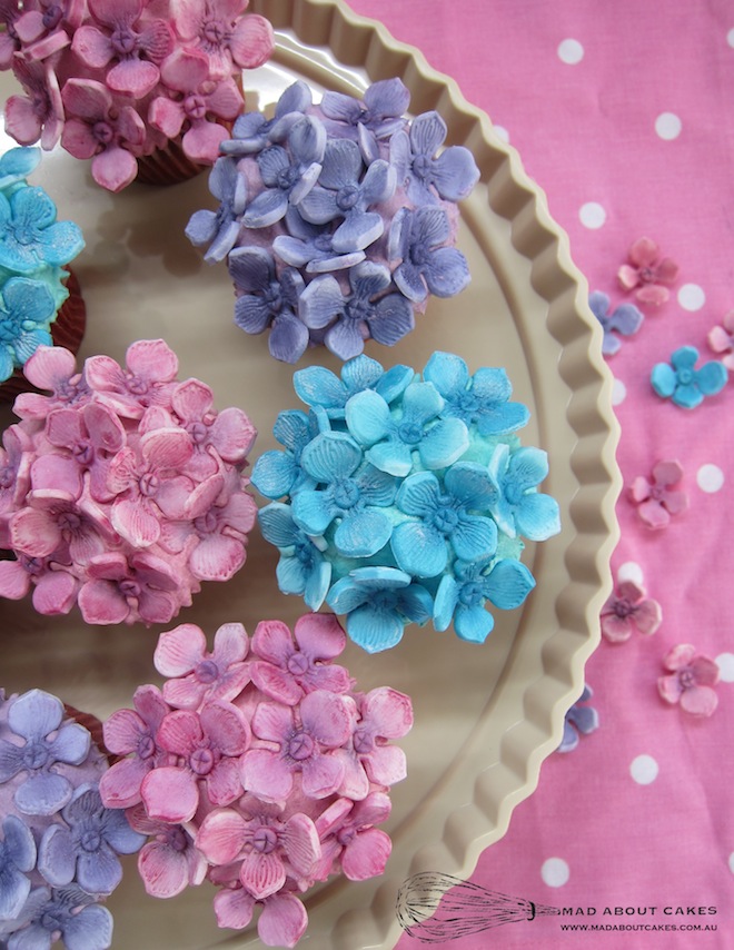 Mad About Cakes blue and pink cupcakes
