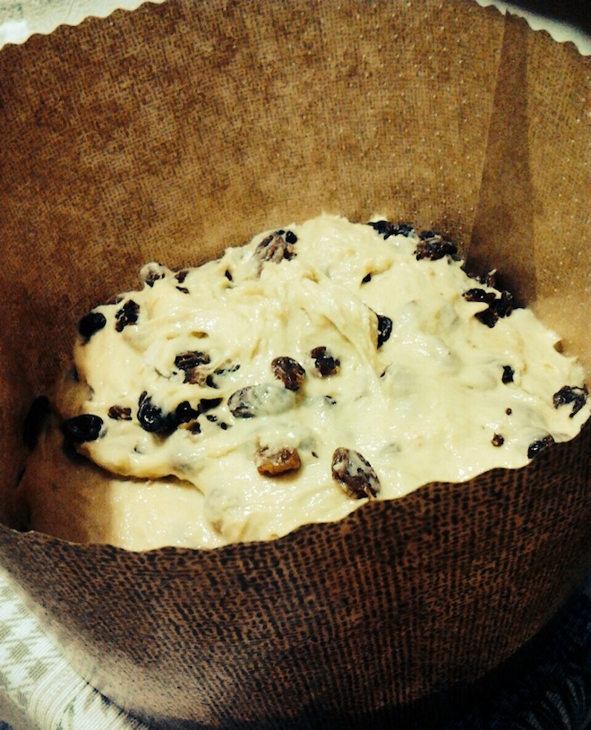 The Panettone before going into the oven