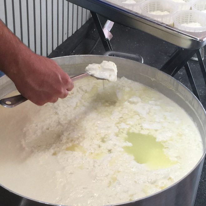 Mister Bianco curds and whey testing