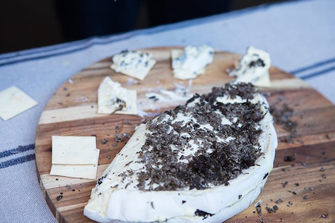 Freshly made truffle brie at The Truffle Shuffle Image by Kristyna Hess