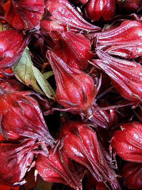 Australian Native Bush Food Rosella Berries Flickr