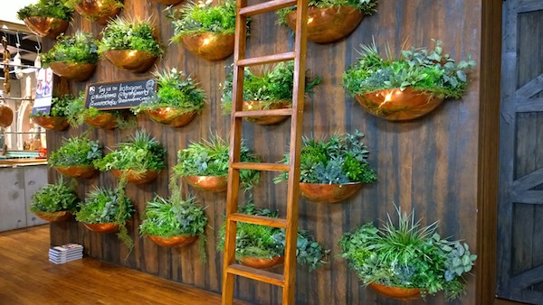 Royal Melbourne Show Masterchef Kitchen plant wall - Decisive Cravings