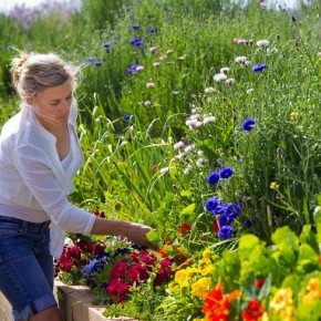 Foodie Profile #29: Edible Flowers with Flowerdale Farm